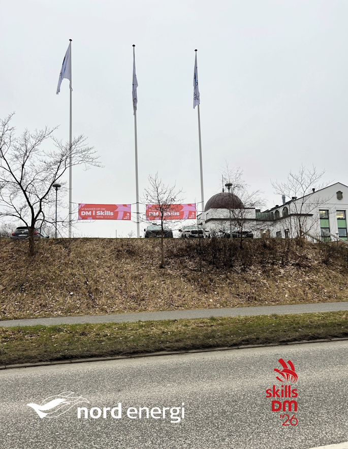 DM i Skills - Infrastruktur bag kulissen